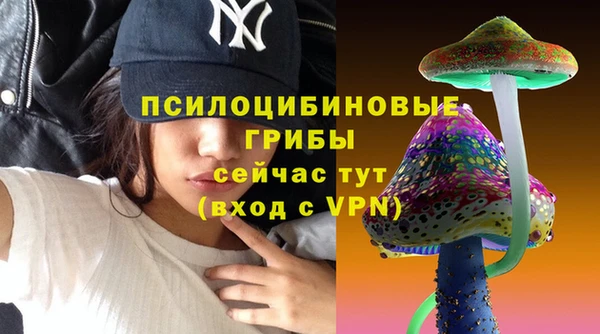 ешки Алзамай